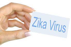 Zika-Virus-Image झिकाःआजार, लक्षणे हडपसर मराठी बातम्या Let's find out! Zika: Diseases, Symptoms Hadapsar Latest News Hadapsar News