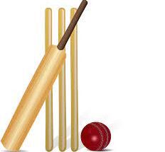 Cricket-Image