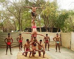 Mallakhamb is a traditional sport,