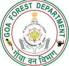 Control room for monitoring forest fires in Goa गोव्यात जंगल क्षेत्रातील वणव्यांवर देखरेखीसाठी नियंत्रण कक्ष हडपसर क्राइम न्यूज, हडपसर मराठी बातम्या, हडपसर न्युज Hadapsar Crime News, Hadapsar Marathi News,Hadapsar News