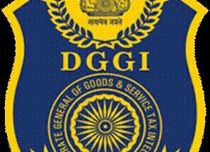 Directorate General of Goods and Services Tax Intelligence वस्तू आणि सेवा कर गुप्तचर महासंचालनालय हडपसर क्राइम न्यूज, हडपसर मराठी बातम्या, हडपसर न्युज Hadapsar Crime News, Hadapsar Marathi News, ,Hadapsar News, Hadapsar Latest News