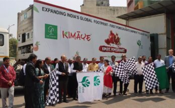 Indian pomegranates exported to America भारतीय डाळिंब समुद्रमार्गे अमेरिकेला रवाना हडपसर क्राइम न्यूज, हडपसर मराठी बातम्या, हडपसर न्युज Hadapsar Crime News, Hadapsar Marathi News, ,Hadapsar News