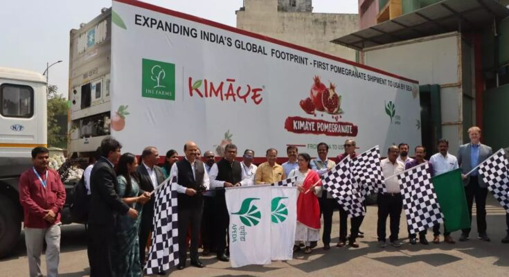 Indian pomegranates exported to America भारतीय डाळिंब समुद्रमार्गे अमेरिकेला रवाना हडपसर क्राइम न्यूज, हडपसर मराठी बातम्या, हडपसर न्युज Hadapsar Crime News, Hadapsar Marathi News, ,Hadapsar News